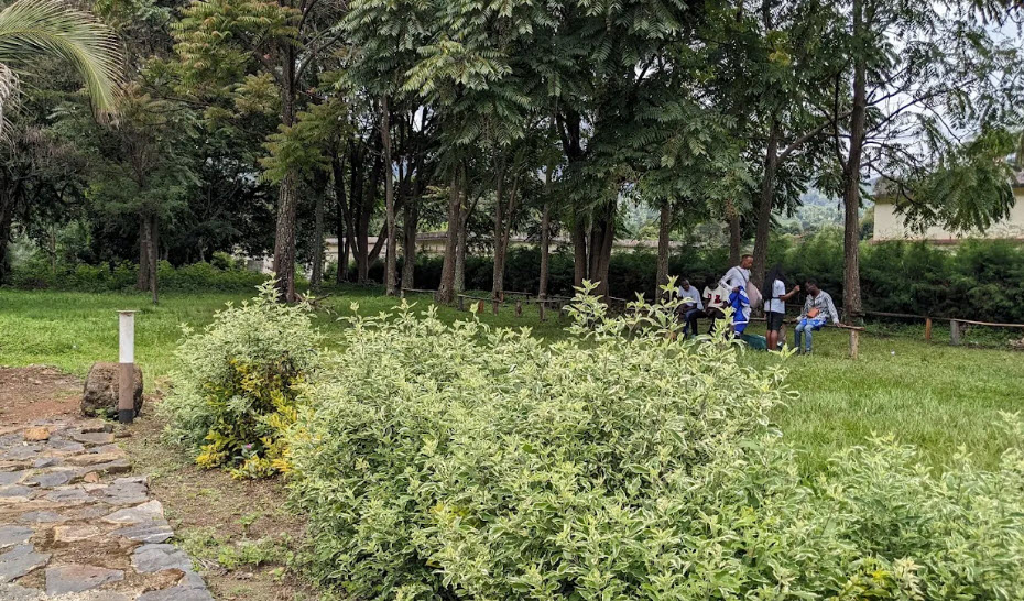 CRSN Lwiro Botanical Garden, DR Congo